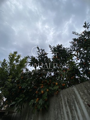 Продам дом, Юг снт, Сочи г, 0 км от города