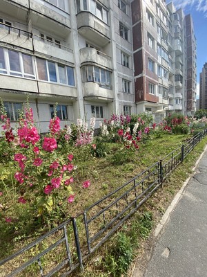 Продам однокомнатную (1-комн.) квартиру, Кораблестроителей ул, 39А, Санкт-Петербург г