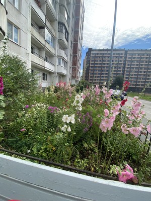 Продам однокомнатную (1-комн.) квартиру, Кораблестроителей ул, 39А, Санкт-Петербург г