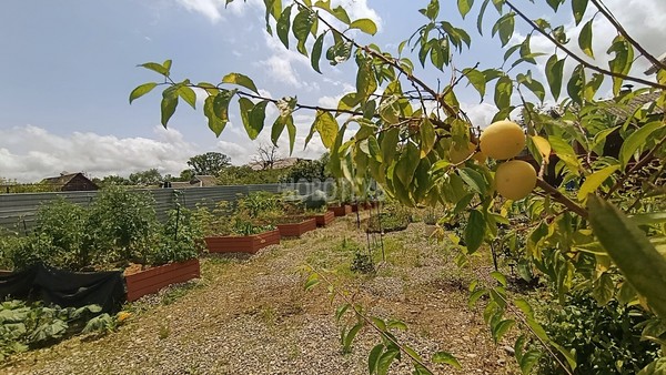 Продам дом, Техническая ул, 9, Апшеронск г, 0 км от города