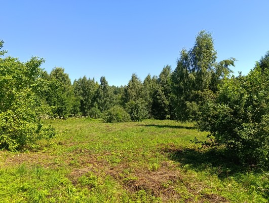 Продам участок 22 соток, Садоводство, Новоселки д, 0 км от города