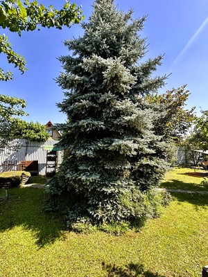 Продам дачу, Лебяжье тер. ТСН, Раменское г, 0 км от города