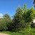 Продам трехкомнатную (3-комн.) квартиру, Никольская ул, 4к2, Ромашково с