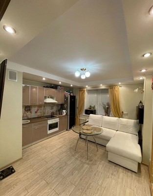 Продам однокомнатную (1-комн.) квартиру, Шишкина ул, 293, Парголово п