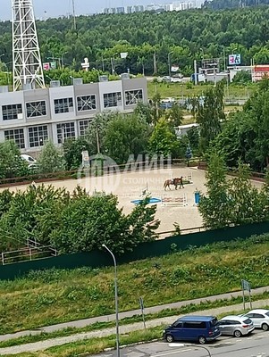 Продам однокомнатную (1-комн.) квартиру, Пригородное (Пригород Лесное мкр.) ш, 3, Мисайлово д