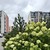 Продам однокомнатную (1-комн.) квартиру, Камероновская ул, 10, Пушкин г