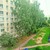Продам трехкомнатную (3-комн.) квартиру, Красноармейская ул, 4, Тихвин г