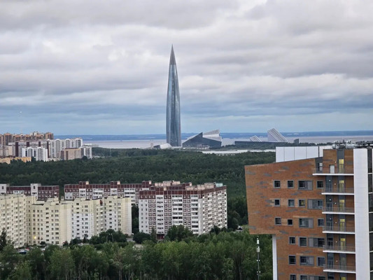 Сдам однокомнатную (1-комн.) квартиру, Плесецкая ул, 10к1, Санкт-Петербург г