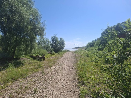 Продам участок 24 соток, ИЖС, Левобережная ул, Пустошь д, 0 км от города