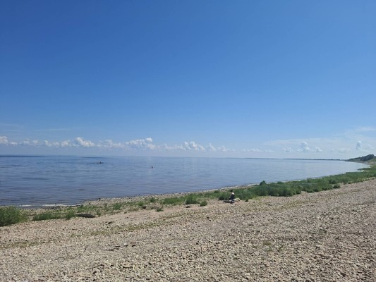 Продам участок 24 соток, ИЖС, Левобережная ул, Пустошь д, 0 км от города