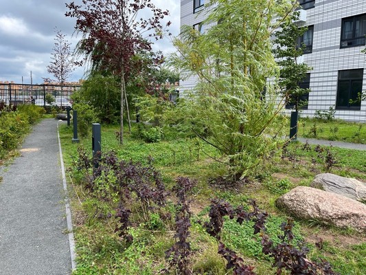 Продам однокомнатную (1-комн.) квартиру, Куприна пр-кт, 18к2, Сосенское п