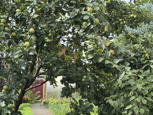 Продам коттедж, Конева ул, Пермь г, 0 км от города
