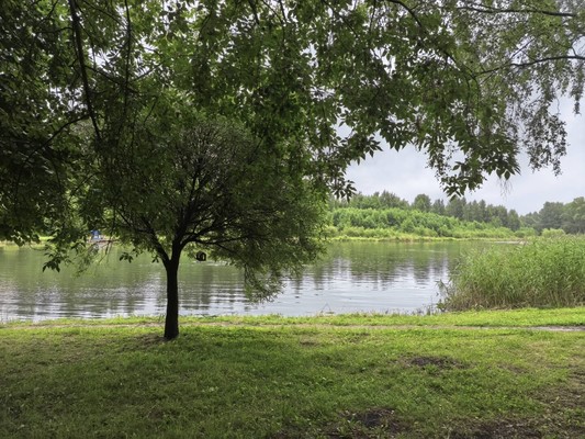 Продам однокомнатную (1-комн.) квартиру, Центральная ул, 19А, Металлострой п