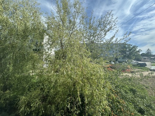 Продам однокомнатную (1-комн.) квартиру, Усатого ул, 12, Фокино г