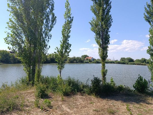 Продам дом, Заречная ул, Верхнекурганное с, 0 км от города