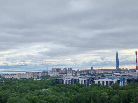 Продам однокомнатную (1-комн.) квартиру, Полевая Сабировская ул, 47к1, Санкт-Петербург г