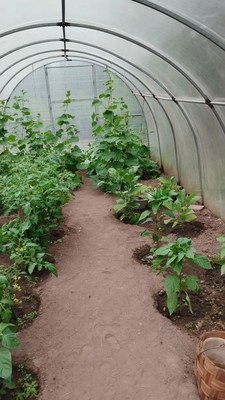 Продам дачу, Сартаково д, 0 км от города
