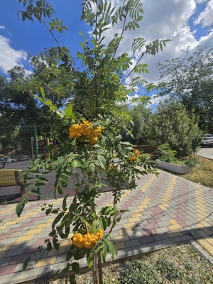 Продам двухкомнатную (2-комн.) квартиру, Советский пер, 35, Комсомольское пгт