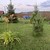 Продам дом, Садовая (Лисичкино тер.) ул, 16, Попово д, 0 км от города
