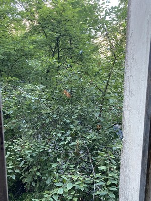 Продам двухкомнатную (2-комн.) квартиру, Байконурская ул, 7к1, Санкт-Петербург г