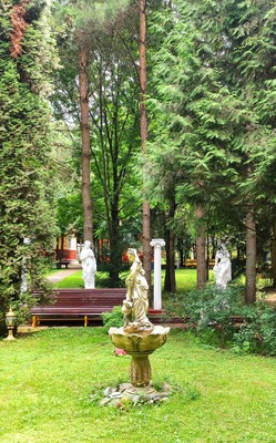 Продам дом, Дубровская ул, Турицино д, 0 км от города