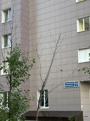 Продам трехкомнатную (3-комн.) квартиру, Айрата Арсланова ул, 13, Казань г