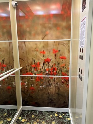 Продам однокомнатную (1-комн.) квартиру, Тихвинская (Сертолово-2 мкр.) ул, 6к2, Сертолово г