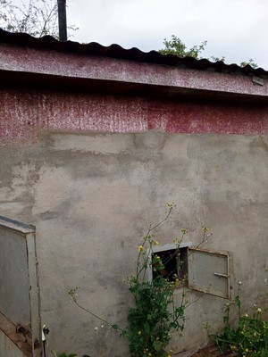 Продам дачу, 26 кв-л, 50, Дружба тер. СНТ, 0 км от города