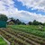 Продам дом, 4а, Стрелково д, 0 км от города
