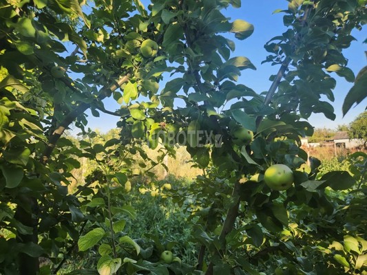 Продам участок 14,89 соток, ИЖС, Гагарина ул, 58А, Стародеревянковская ст-ца, 0 км от города