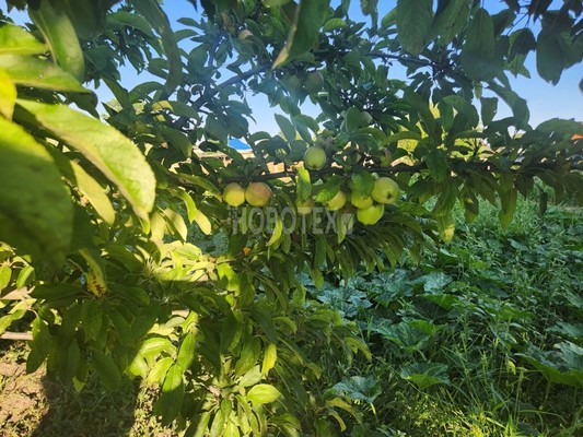 Продам участок 14,89 соток, ИЖС, Гагарина ул, 58А, Стародеревянковская ст-ца, 0 км от города