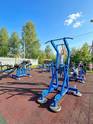 Продам дачу, Мира ул, Новая д, 0 км от города