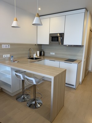 Продам однокомнатную (1-комн.) квартиру, Социалистическая ул, 21, Санкт-Петербург г