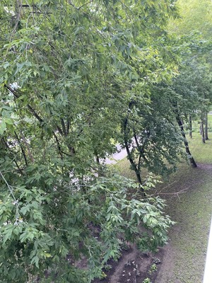 Продам комнату в 3-комн. квартире, Кировоградская ул, 4к1, Москва г