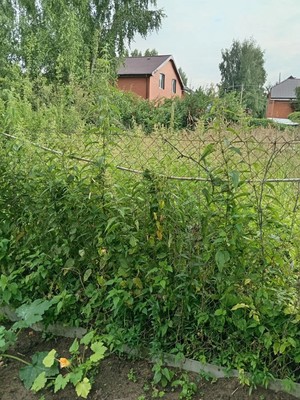 Продам дом, 47, Электроизолятор п, 0 км от города