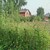 Продам дом, 47, Электроизолятор п, 0 км от города