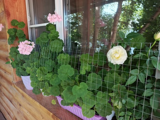Продам однокомнатную (1-комн.) квартиру, Единства пер, 2, Ханты-Мансийск г