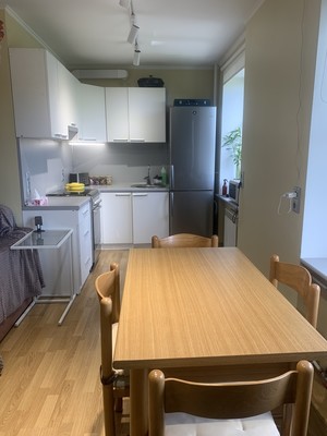 Продам однокомнатную (1-комн.) квартиру, Московский пр-кт, 205А, Санкт-Петербург г