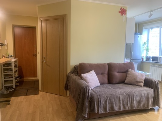 Продам однокомнатную (1-комн.) квартиру, Московский пр-кт, 205А, Санкт-Петербург г