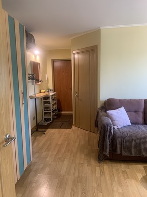 Продам однокомнатную (1-комн.) квартиру, Московский пр-кт, 205А, Санкт-Петербург г