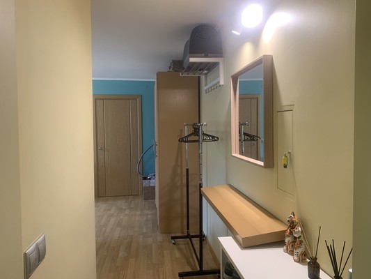 Продам однокомнатную (1-комн.) квартиру, Московский пр-кт, 205А, Санкт-Петербург г