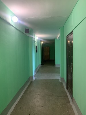 Продам однокомнатную (1-комн.) квартиру, Московский пр-кт, 205А, Санкт-Петербург г
