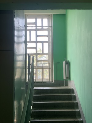 Продам однокомнатную (1-комн.) квартиру, Московский пр-кт, 205А, Санкт-Петербург г