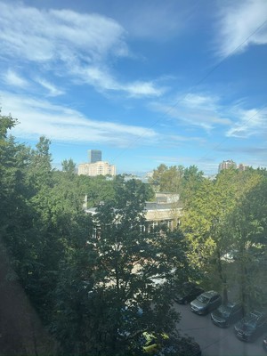 Продам однокомнатную (1-комн.) квартиру, Московский пр-кт, 205А, Санкт-Петербург г