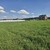 Продам участок 12 соток, ИЖС, Удачная ул, Ким д, 0 км от города