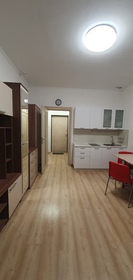 Продам однокомнатную (1-комн.) квартиру, Плесецкая ул, 14, Санкт-Петербург г
