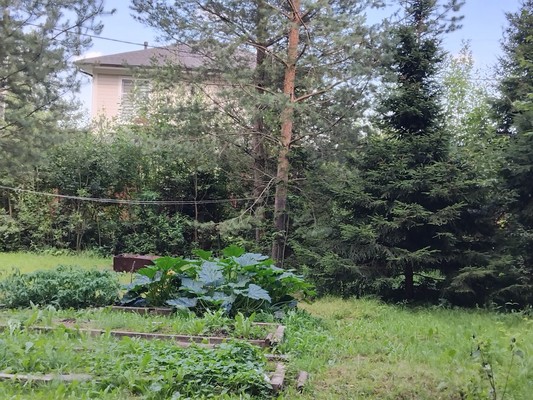Продам участок 6 соток, Фермерское хоз., Квант тер. СНТ, 0 км от города