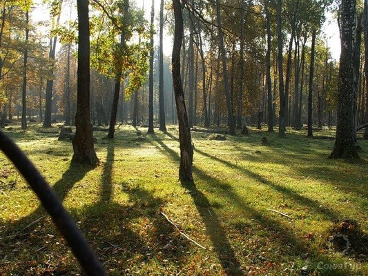 Продам участок 13,41 соток, Садоводство, Новая ул, Лужки д, 0 км от города