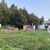 Продам участок 9 соток, ИЖС, Ленина ул, 7, Ханты-Мансийск г, 0 км от города