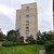 Сдам двухкомнатную (2-комн.) квартиру, Мосина ул, 5, Сестрорецк г